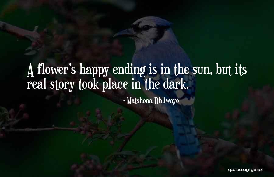Flying And Soaring Quotes By Matshona Dhliwayo