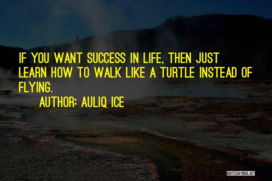 Flying And Success Quotes By Auliq Ice