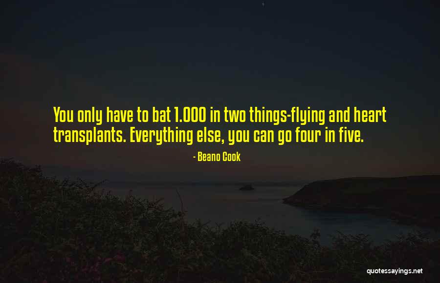 Flying Bat Quotes By Beano Cook Flying Bat Quotes By Beano Cook