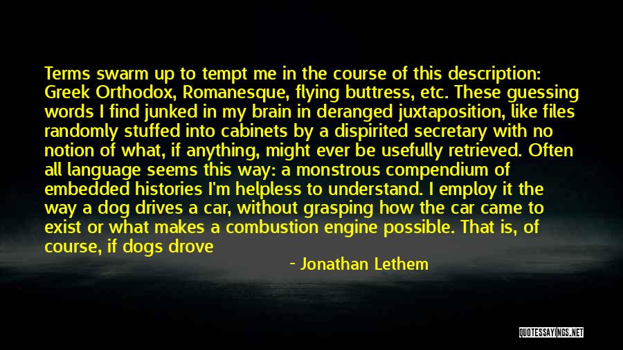 Flying Cars Quotes By Jonathan Lethem