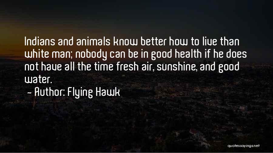 Flying Hawk Quotes 772042