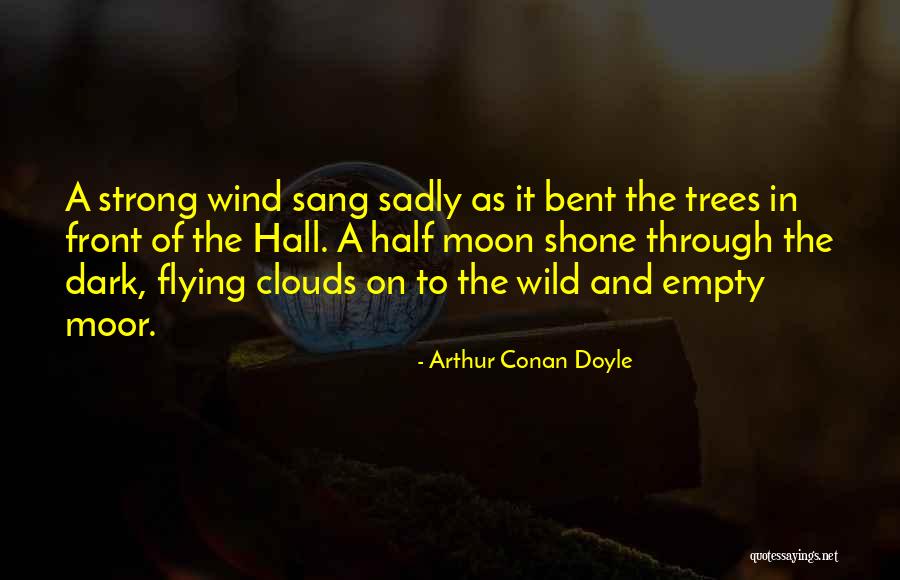 Flying In The Clouds Quotes By Arthur Conan Doyle Flying In The Clouds Quotes By Arthur Conan Doyle