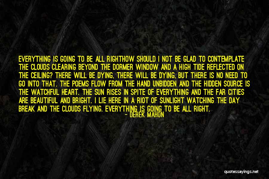 Flying In The Clouds Quotes By Derek Mahon Flying In The Clouds Quotes By Derek Mahon