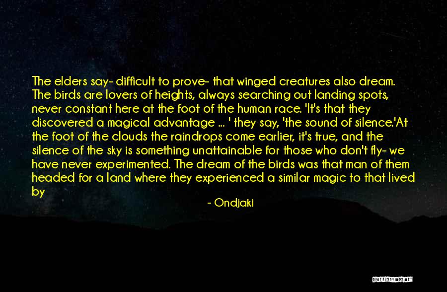 Flying In The Clouds Quotes By Ondjaki Flying In The Clouds Quotes By Ondjaki