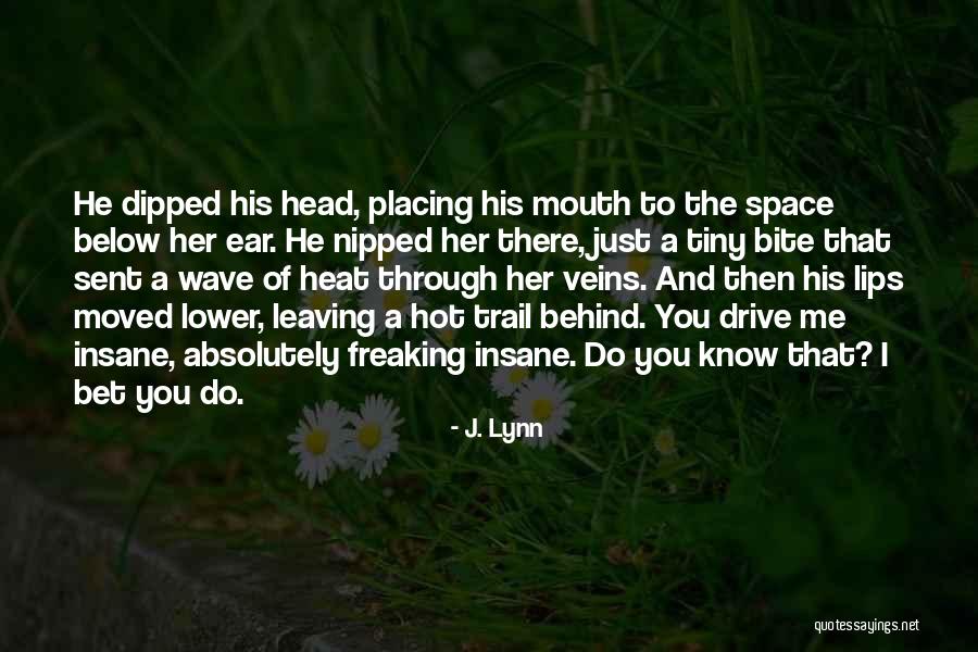 Flying Insect Quotes By J. Lynn Flying Insect Quotes By J. Lynn