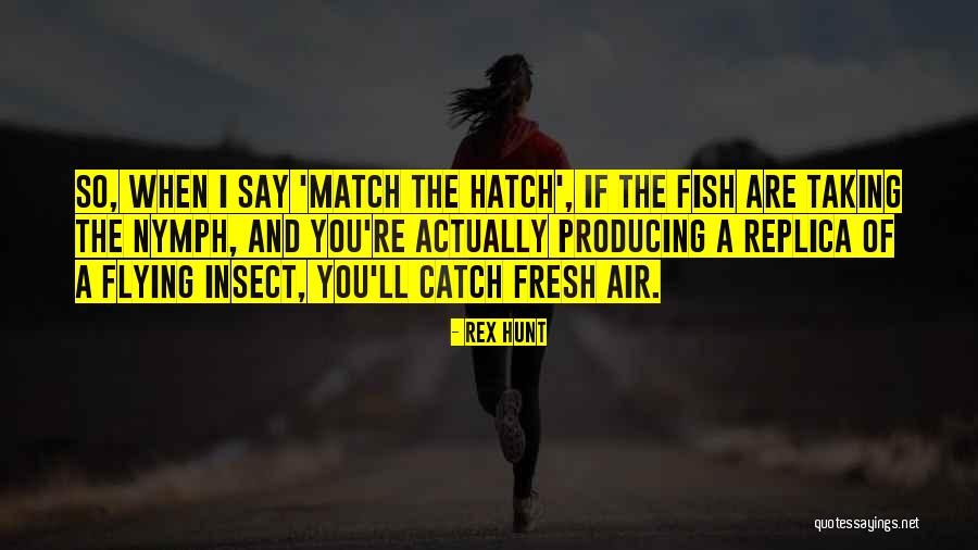 Flying Insect Quotes By Rex Hunt Flying Insect Quotes By Rex Hunt