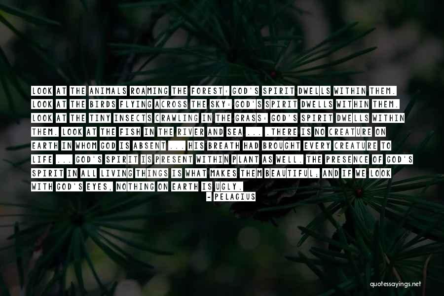 Flying Insects Quotes By Pelagius Flying Insects Quotes By Pelagius