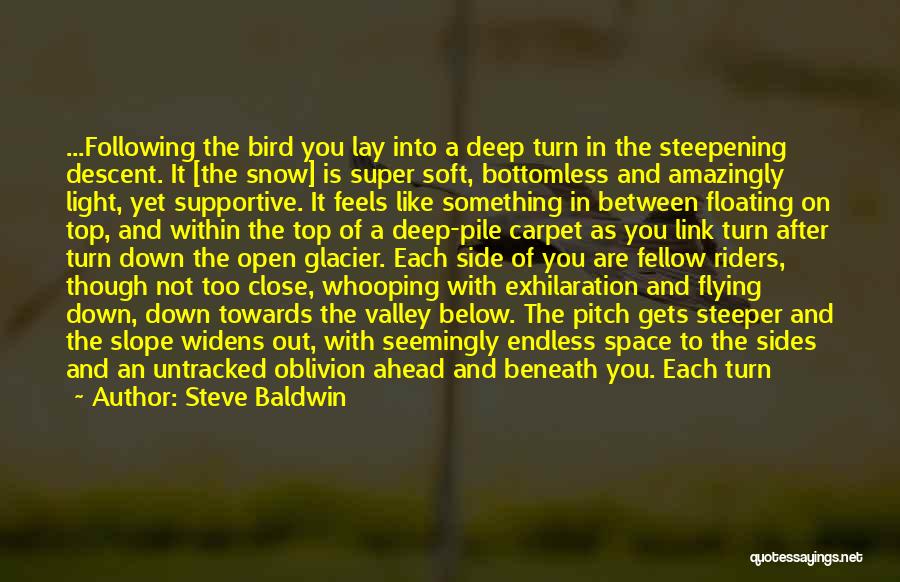 Flying Like A Bird Quotes By Steve Baldwin