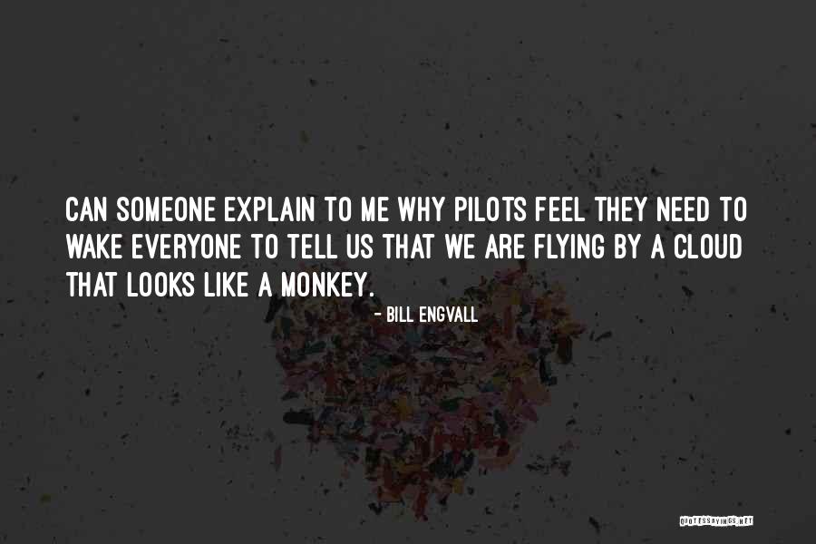 Flying Monkey Quotes By Bill Engvall