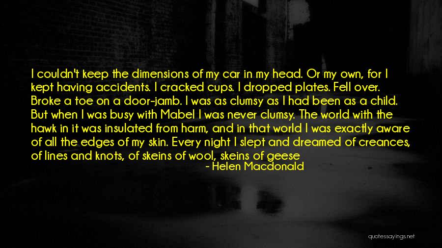Flying Out Quotes By Helen Macdonald Flying Out Quotes By Helen Macdonald
