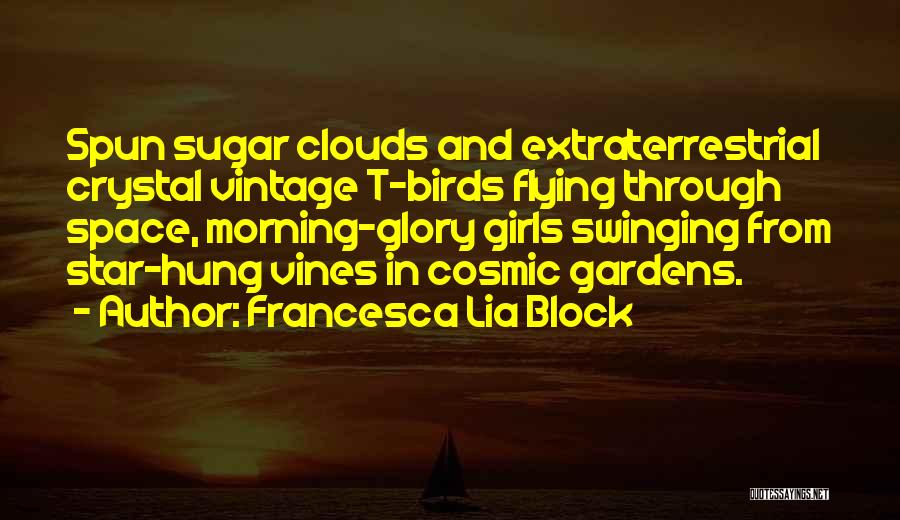 Flying Over The Clouds Quotes By Francesca Lia Block