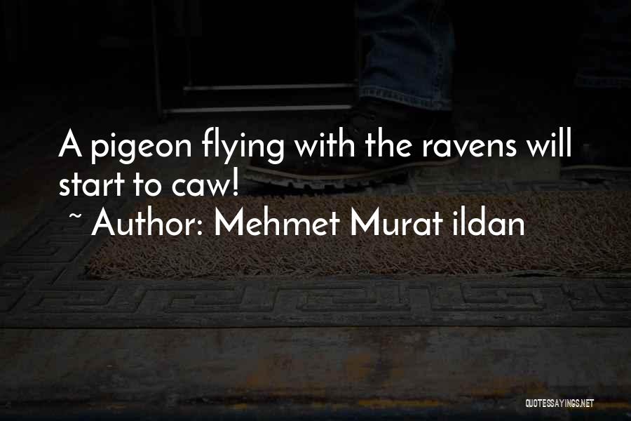 Flying Pigeon Quotes By Mehmet Murat Ildan