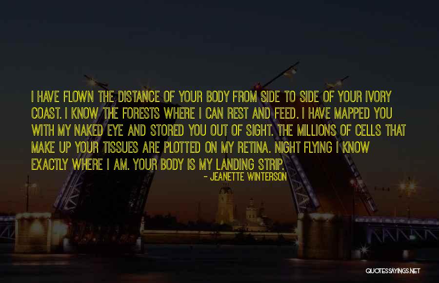 Flying Quotes By Jeanette Winterson Flying Quotes By Jeanette Winterson