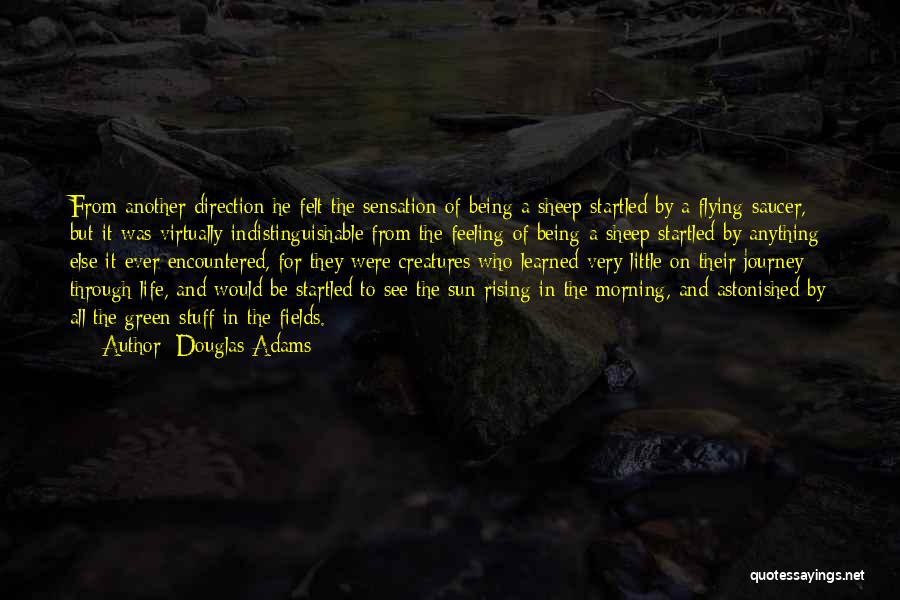 Flying Saucer Quotes By Douglas Adams
