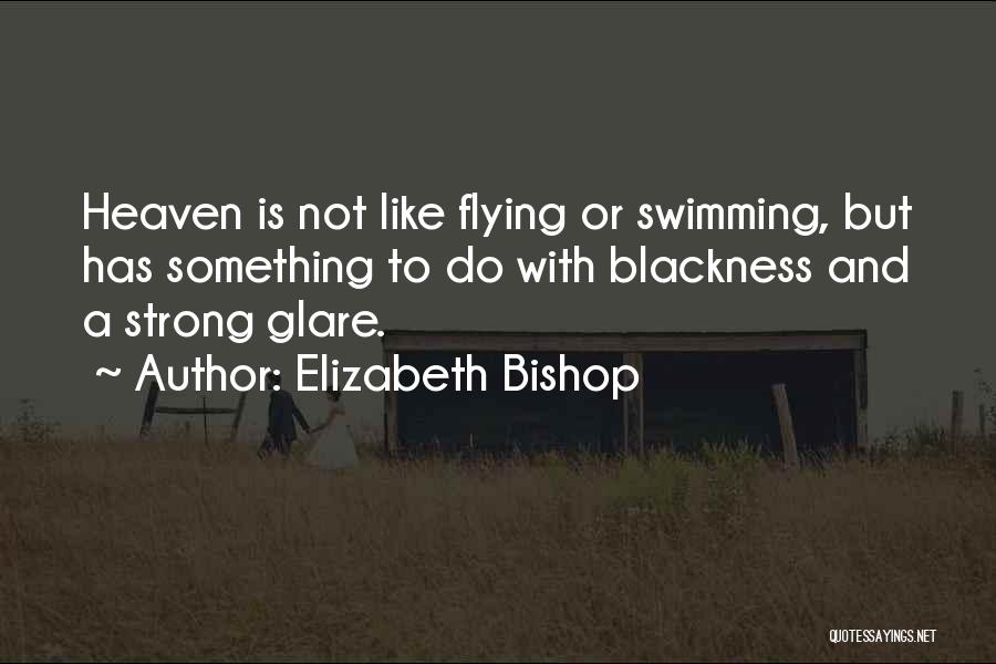 Flying To Heaven Quotes By Elizabeth Bishop