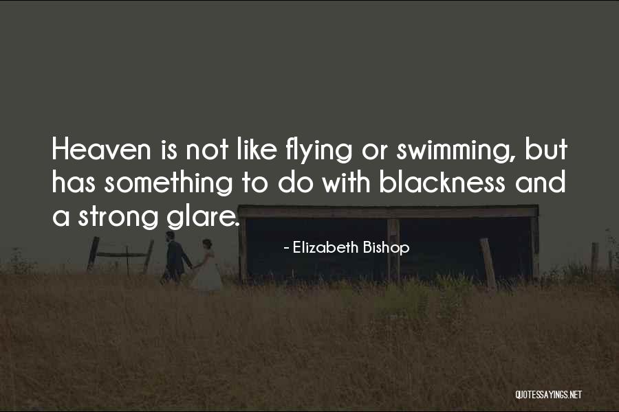 Flying To Heaven Quotes By Elizabeth Bishop