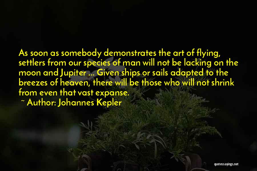 Flying To Heaven Quotes By Johannes Kepler