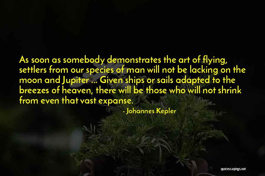 Flying To Heaven Quotes By Johannes Kepler