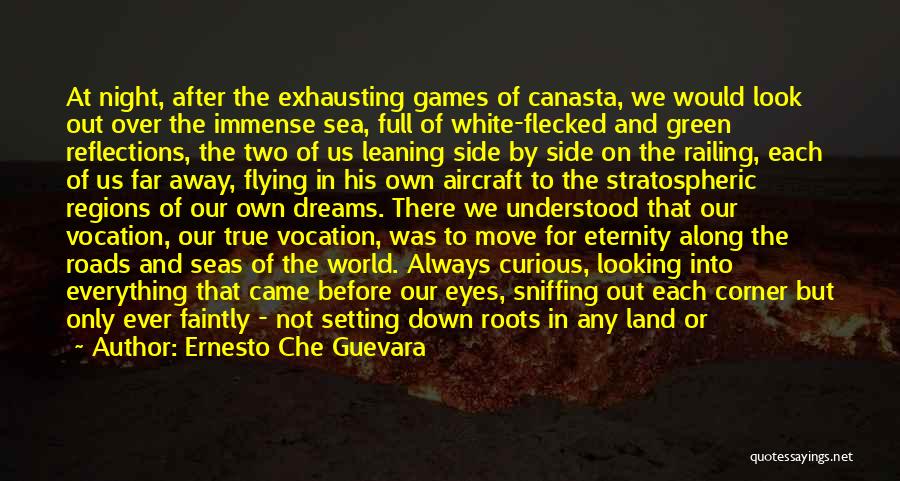 Flying Travel Quotes By Ernesto Che Guevara