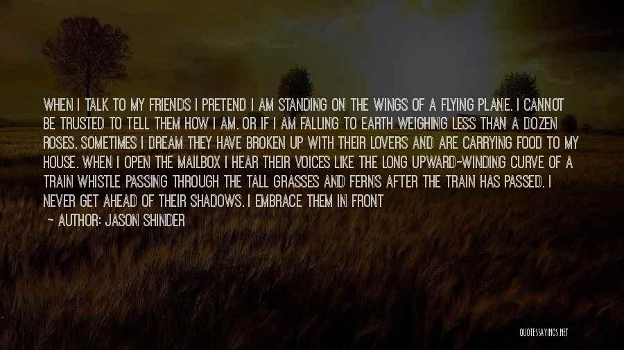 Flying With Broken Wings Quotes By Jason Shinder