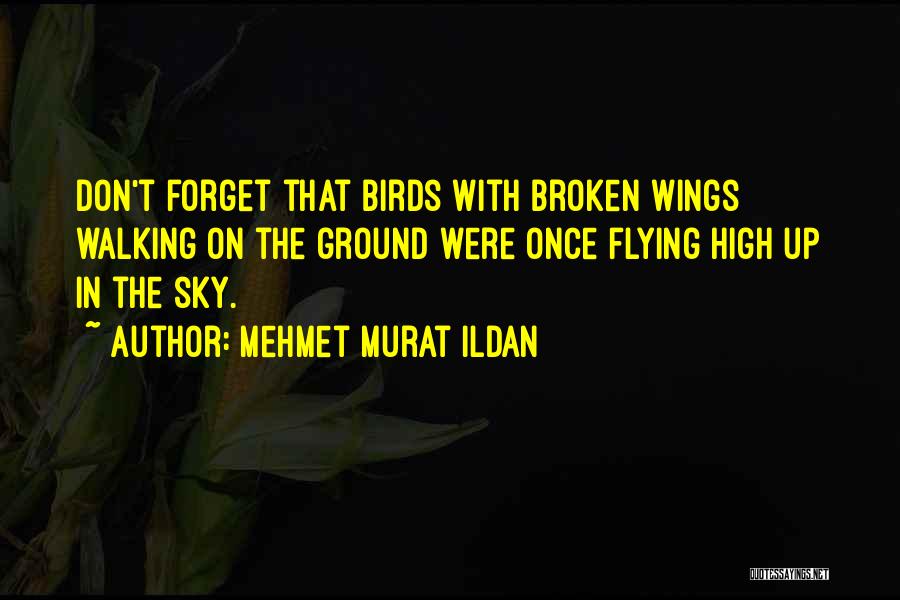 Flying With Broken Wings Quotes By Mehmet Murat Ildan