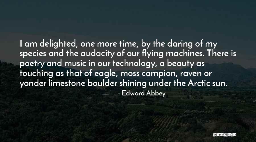 Flying With Eagles Quotes By Edward Abbey