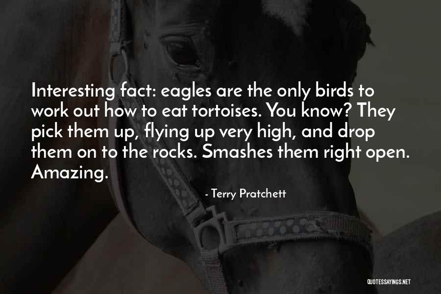 Flying With Eagles Quotes By Terry Pratchett