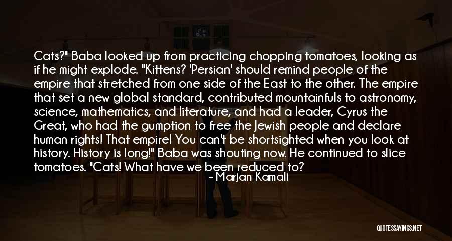 Flyleaves Quotes By Marjan Kamali Flyleaves Quotes By Marjan Kamali
