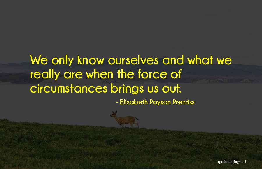 Flyness Diner Quotes By Elizabeth Payson Prentiss Flyness Diner Quotes By Elizabeth Payson Prentiss