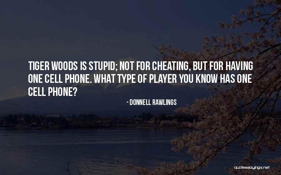 Flynn Ryder Quotes By Donnell Rawlings Flynn Ryder Quotes By Donnell Rawlings