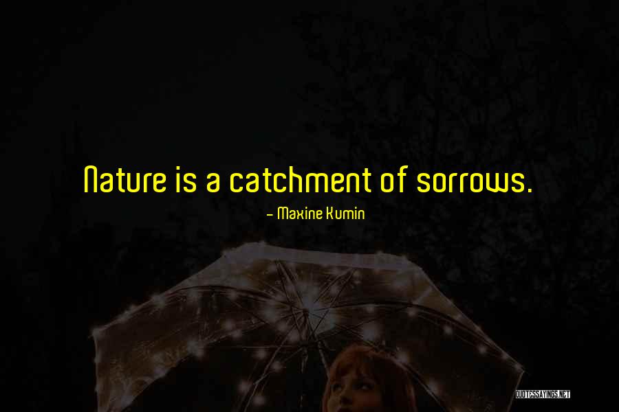 Flyscreen Face Quotes By Maxine Kumin Flyscreen Face Quotes By Maxine Kumin