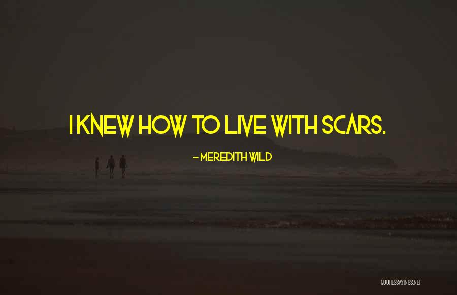 Flysky Quotes By Meredith Wild Flysky Quotes By Meredith Wild