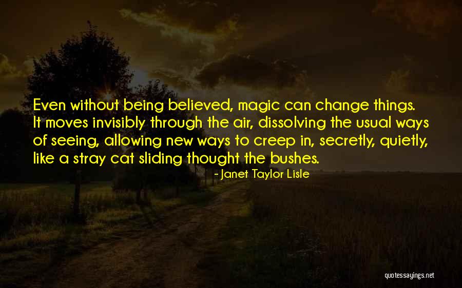 Flyways Brasil Quotes By Janet Taylor Lisle Flyways Brasil Quotes By Janet Taylor Lisle