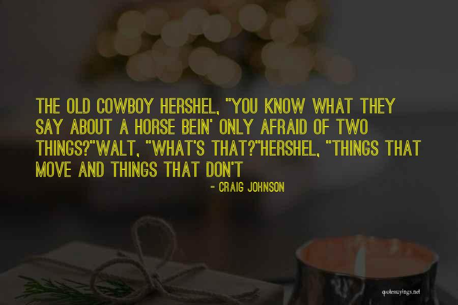 Flyweight Design Quotes By Craig Johnson Flyweight Design Quotes By Craig Johnson