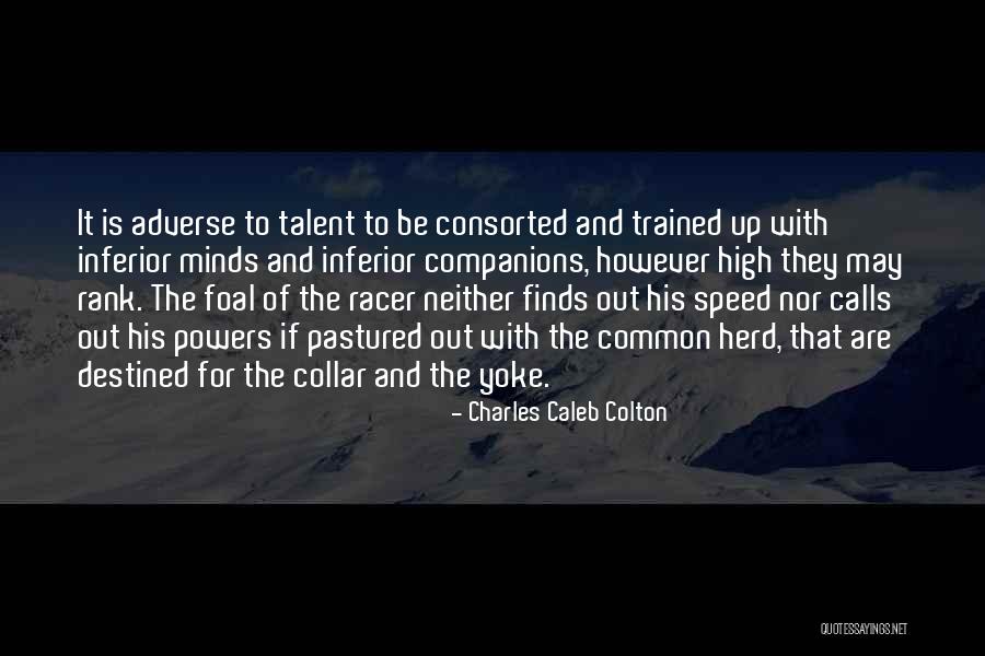 Foals R Quotes By Charles Caleb Colton Foals R Quotes By Charles Caleb Colton