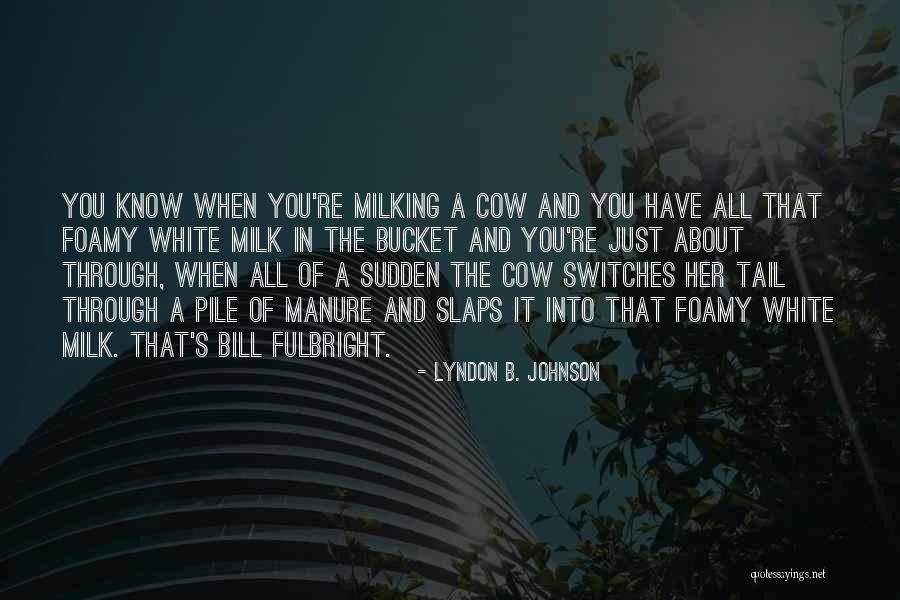 Foamy Quotes By Lyndon B. Johnson Foamy Quotes By Lyndon B. Johnson
