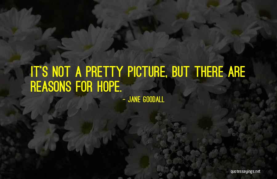 Fobii Ciudate Quotes By Jane Goodall Fobii Ciudate Quotes By Jane Goodall
