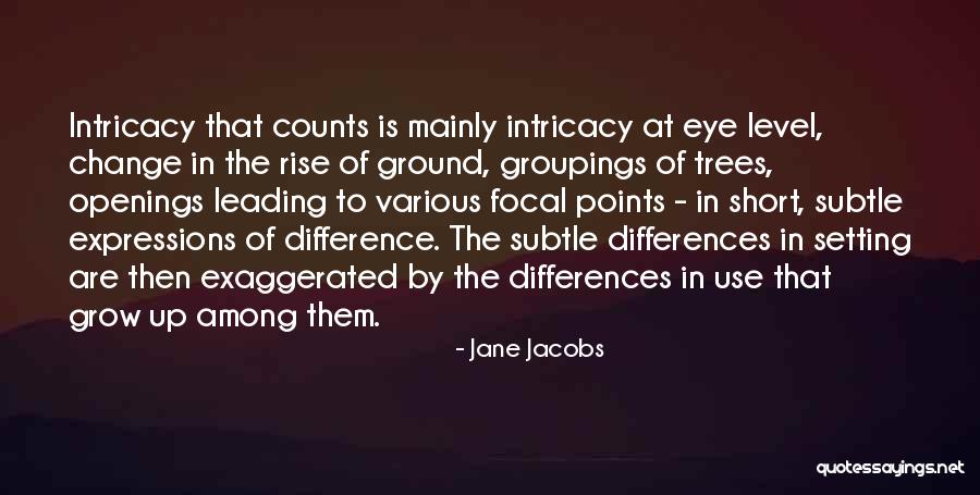 Focal Quotes By Jane Jacobs Focal Quotes By Jane Jacobs