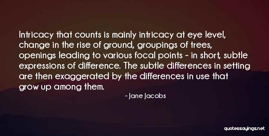 Focal Quotes By Jane Jacobs