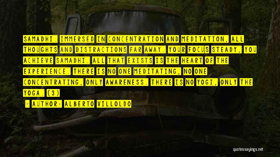 Focus And Concentration Quotes By Alberto Villoldo