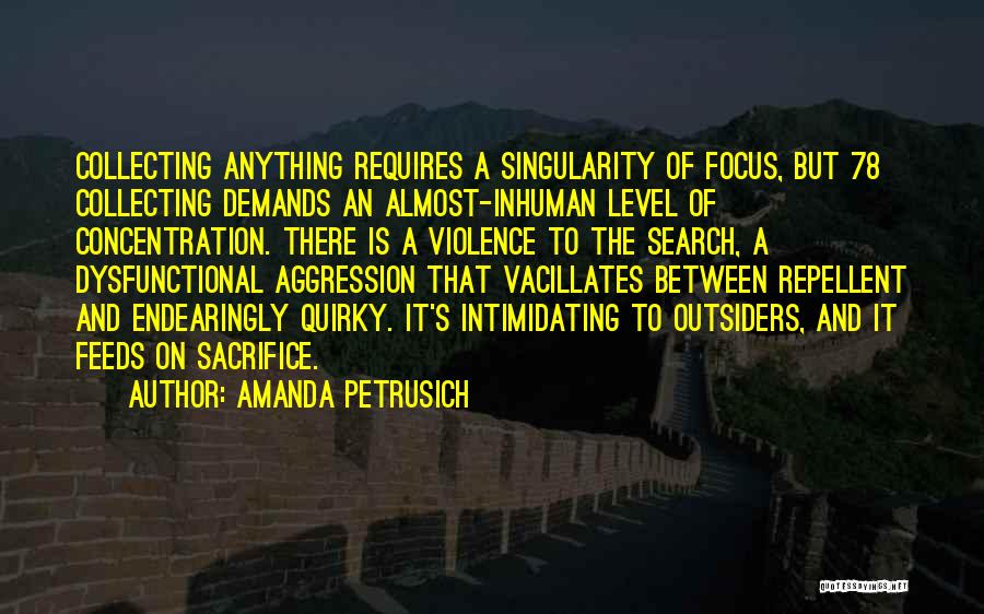 Focus And Concentration Quotes By Amanda Petrusich