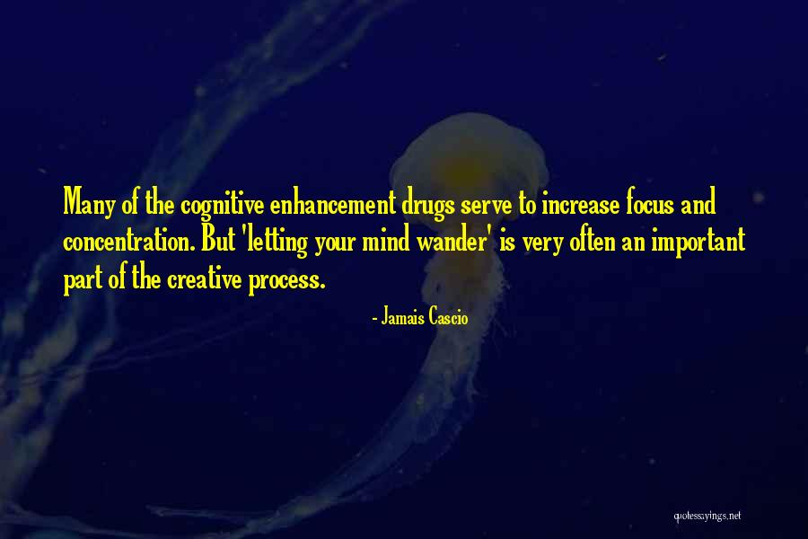 Focus And Concentration Quotes By Jamais Cascio