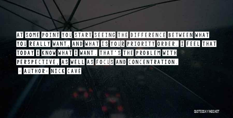 Focus And Concentration Quotes By Nick Cave