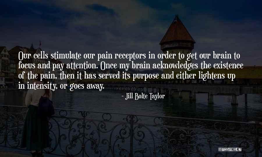 Focus And Intensity Quotes By Jill Bolte Taylor Focus And Intensity Quotes By Jill Bolte Taylor