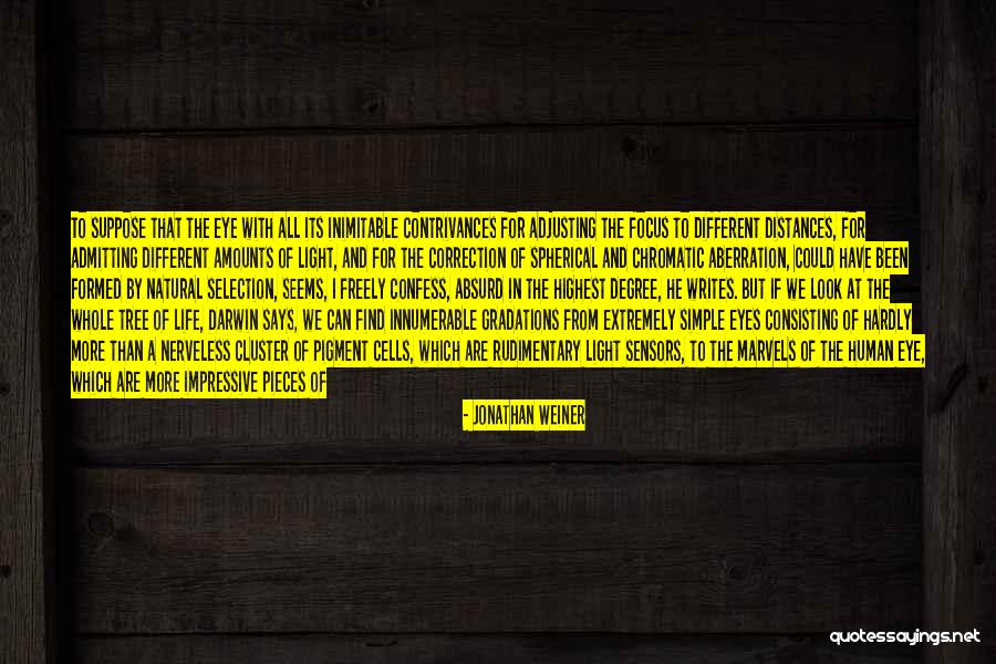 Focus At Work Quotes By Jonathan Weiner Focus At Work Quotes By Jonathan Weiner