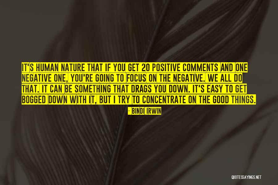 Focus Concentrate Quotes By Bindi Irwin Focus Concentrate Quotes By Bindi Irwin
