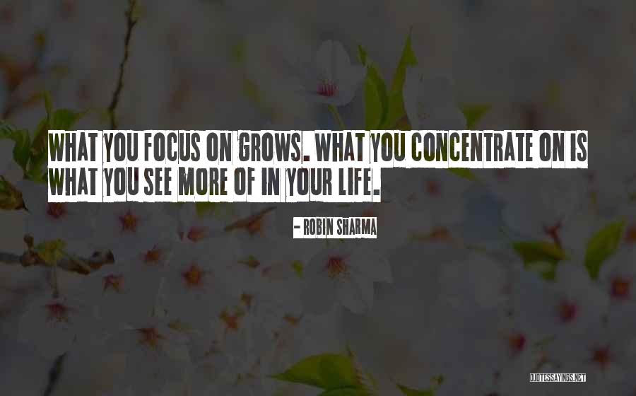 Focus Concentrate Quotes By Robin Sharma Focus Concentrate Quotes By Robin Sharma