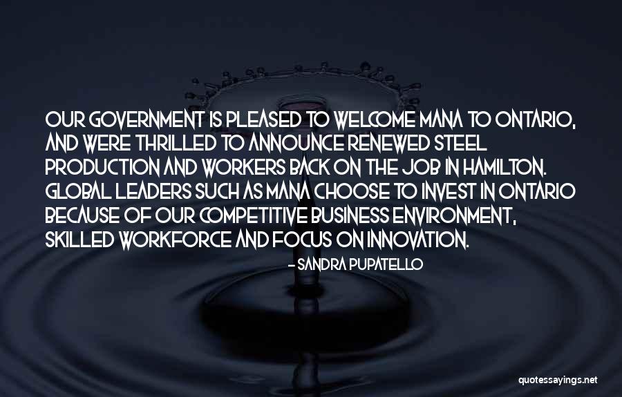 Focus In Business Quotes By Sandra Pupatello Focus In Business Quotes By Sandra Pupatello
