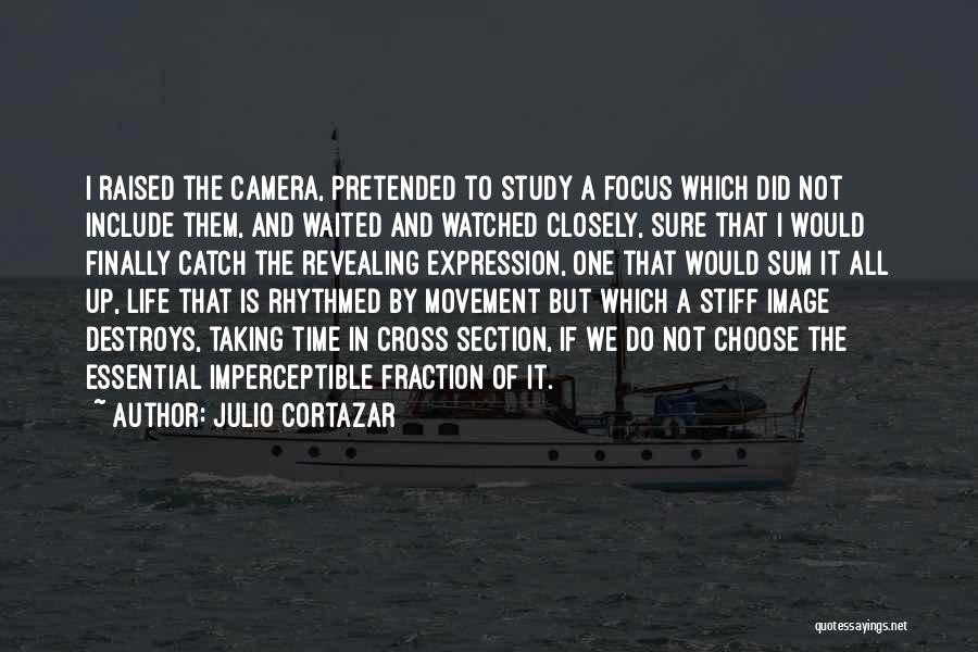 Focus On Camera Quotes By Julio Cortazar