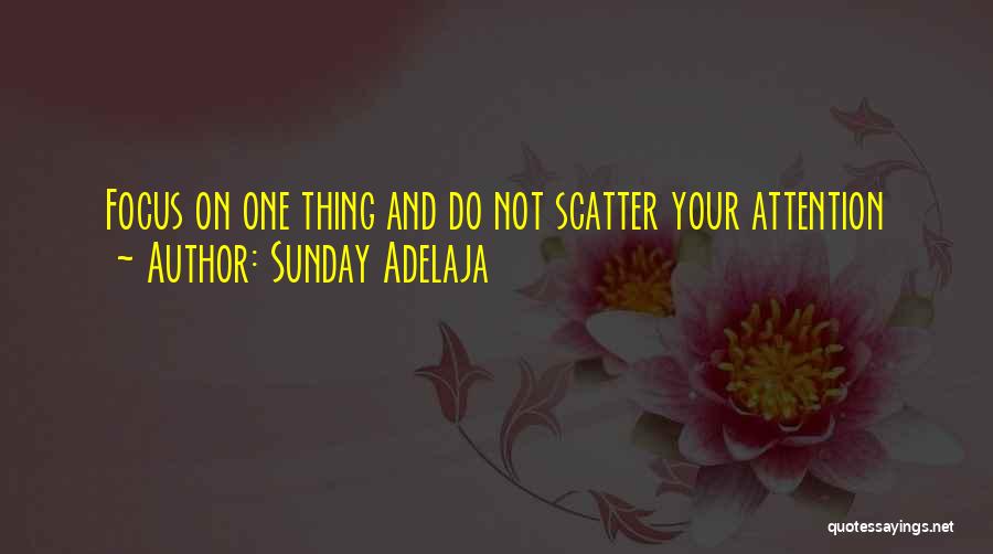 Focus On One Thing Quotes By Sunday Adelaja
